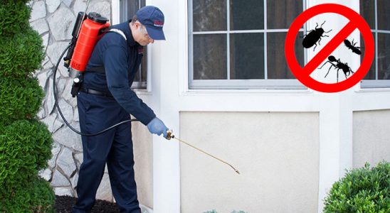 Eleşkirt Kemirgen İlaçlama böcek ilaçlama ve haşere kontrolü — ilaclama-tr.com
